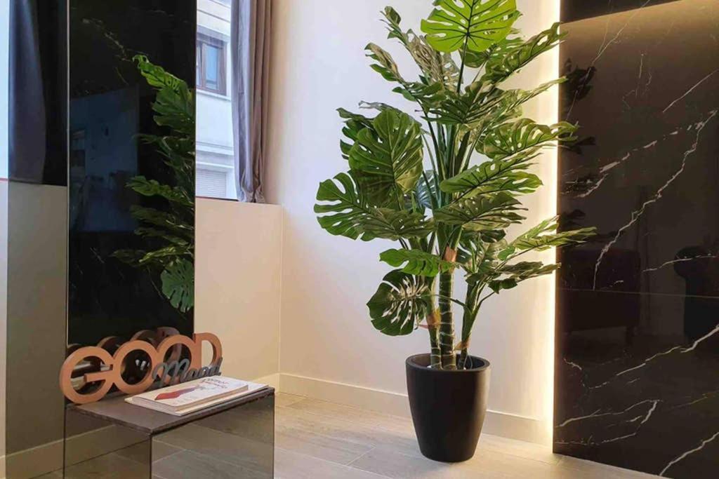 Miluisuites Loft And Spa Catedral. Сантандер Екстериор снимка